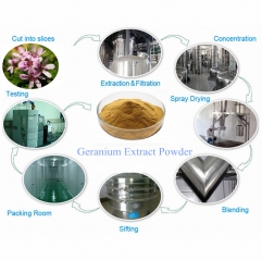 Premium Natural Geranium Extract Powder