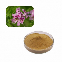Premium Natural Geranium Extract Powder