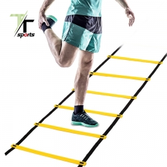 Speed Training Agility Ladder