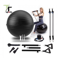 Exercise Ball 65 cm with Stainless Steel Pilates Bar Set