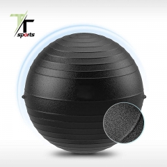 Exercise Ball 65 cm with Stainless Steel Pilates Bar Set