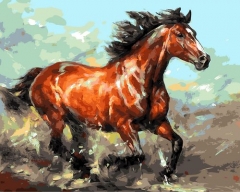 SX- GX1030  Paint by numbers  -  Horse