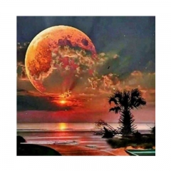 SX-S8941 30x40cm Diamond Painting Kits - Moon