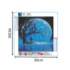 SX-S8938 30x40cm Diamond Painting Kits - Moon