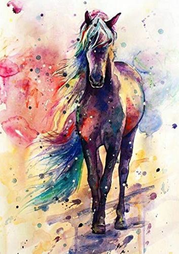 SX-S8836 30x40cm Diamond Painting Kits - Horse