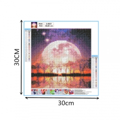 SX-S88937 30x40cm Diamond Painting Kits - Moon
