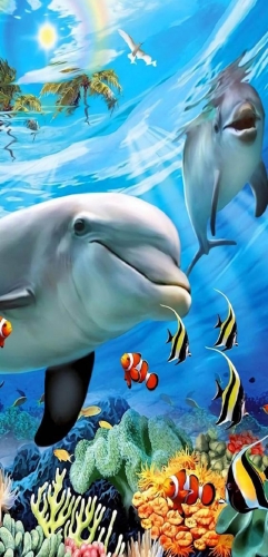 SX-J-1070  45X85cm Diamond Painting Kits - Dolphin