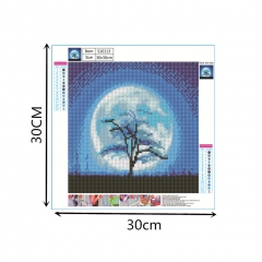 SX-S10113  30X30cm  Diamond Painting Kits - Moon
