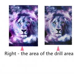 SX-S10122  30X40cm  Diamond Painting Kits - Tiger