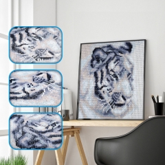 SX-F002  25X25cm  Diamond Painting Kits - White tiger