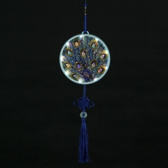 SX-AA061 15X15cm LED Diamond Painting Kit  - Peacock