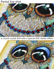 SX-DZ004   Special Shaped Diamond Painting Kits - Owl  