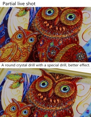 SX-DZ015-3040   Special Shaped Diamond Painting Kits - Owl      