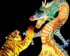 SX- 21796   Paint by numbers - Dragon and tiger