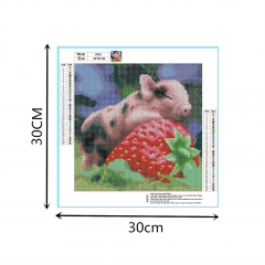 SX-F010  30X30cm  Diamond Painting Kits - Little sweet pig