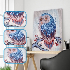 SX-F008     Diamond Painting Kits - Owl