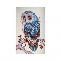SX-F008     Diamond Painting Kits - Owl