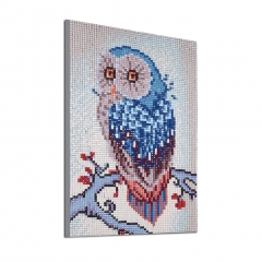 SX-F008     Diamond Painting Kits - Owl