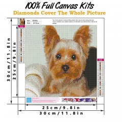 SX- B3406   Diamond Painting Kit - Yorkshire Terrier