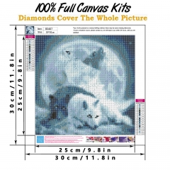 SX- B3407   Diamond Painting Kit - White wolf