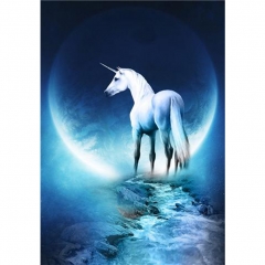 SX- B3465   Diamond Painting Kit - Unicorn