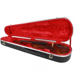 ABS ABS Violin Case