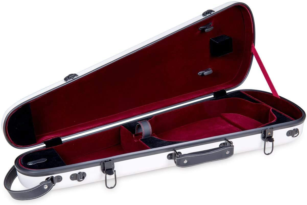 Violin case