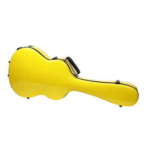 Fiberglass Guitar Case Acoustic