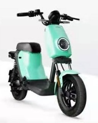 intelligent electric scooter with smart charging system