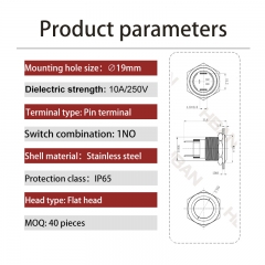 19mm High Capacity Switches: Unleash 10 Amps of Power in a Compact Design