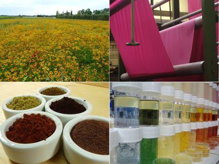 The status quo and development trend of Plant Dyes