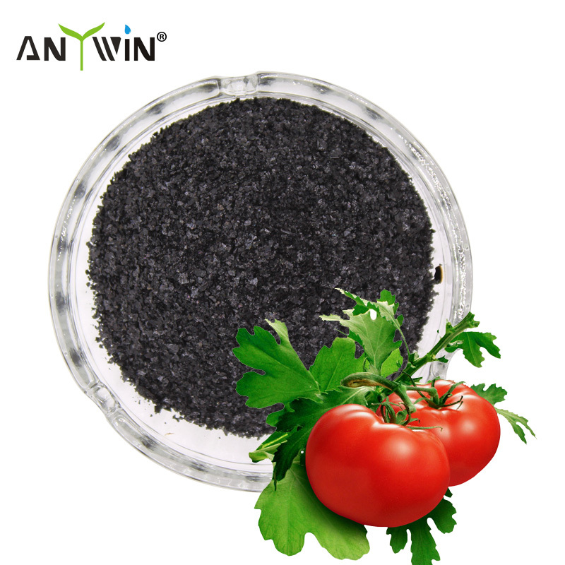 seaweed extract fertilizer