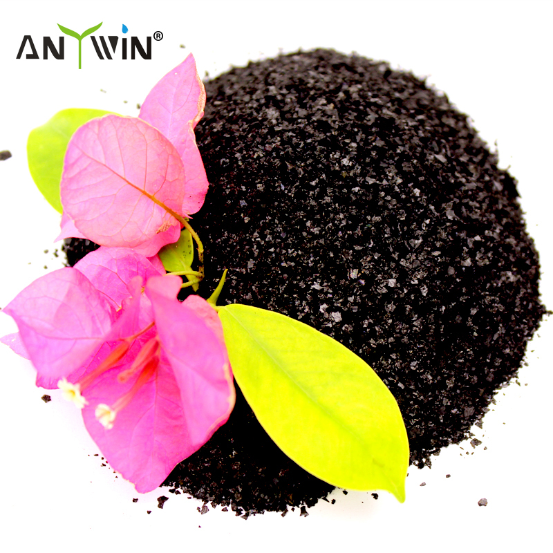 seaweed extract fertilizer