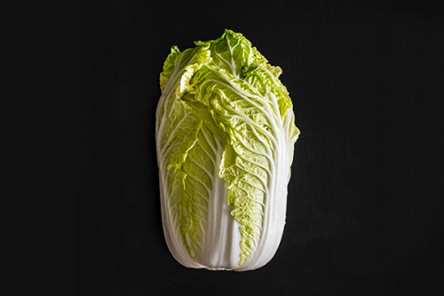 Napa Cabbage