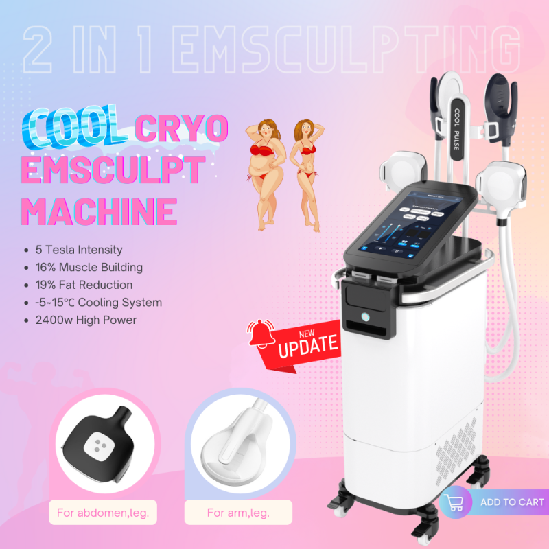 2 In 1 New Two Functions Cryo Sculpting Machine Cool Slimming Weight Loss Fat Burning Ems Machine