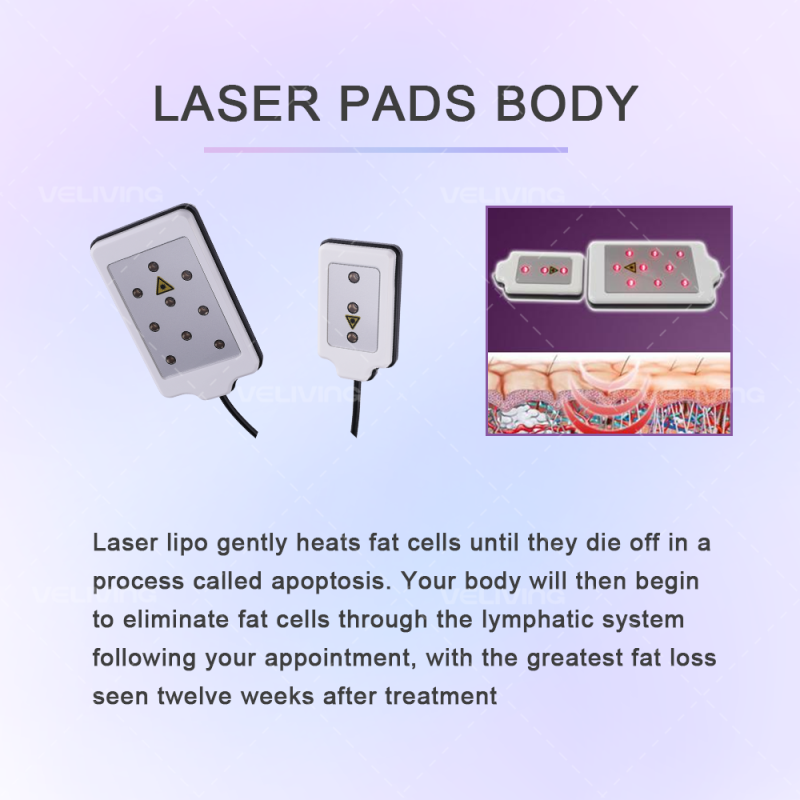 PROSLIM Slimming  Lipo Laser Paddle