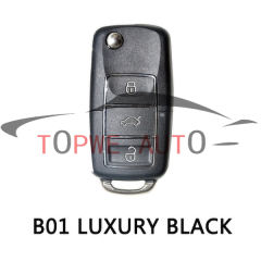 B01-Luxury