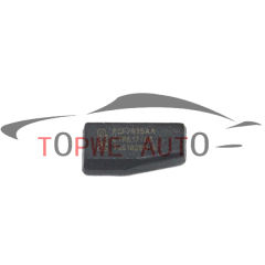 TP-chip-030