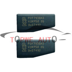 TP-chip-053