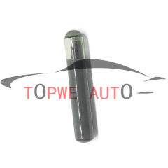 TP-chip-038