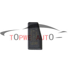 TP-chip-030