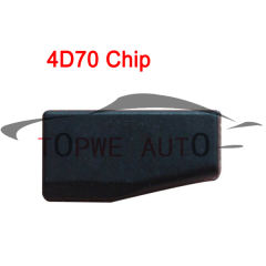 TP-chip-047