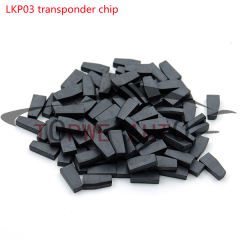 TP-chip-063
