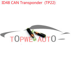 TP-chip-016
