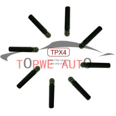 TP-chip-037
