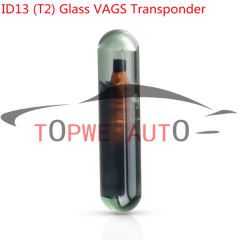 TP-chip-002