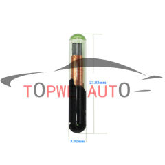 TP-chip-001C