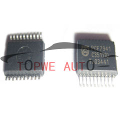 TP-chip-032