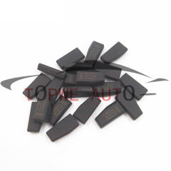 TP-chip-031