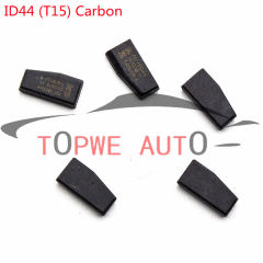TP-chip-028